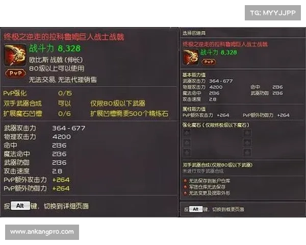 永恒纪元战士:技能加成之道 永恒纪元战士:技能加成之道