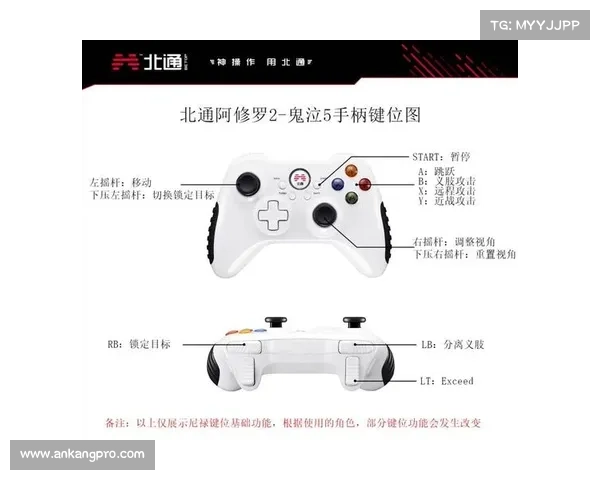 用其他手柄玩鬼泣的新方法 用其他手柄玩鬼泣的新方法