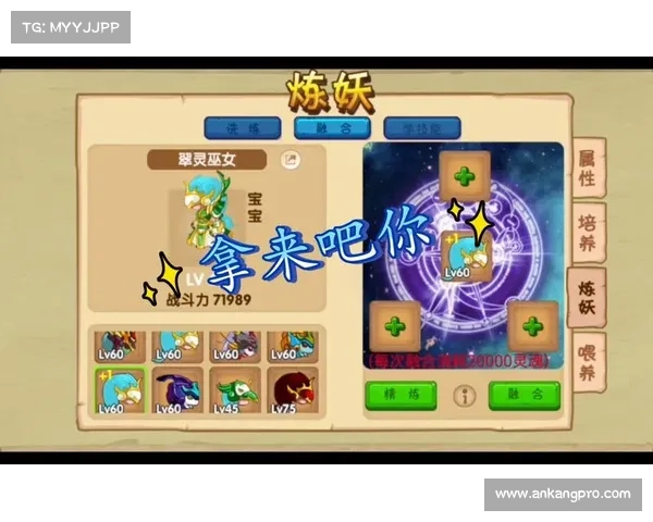 造梦西游ol宠物攻略 造梦西游ol宠物攻略
