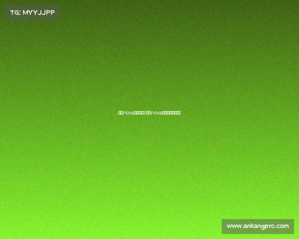 上海nova电子竞技(上海nova电子竞技俱乐部)